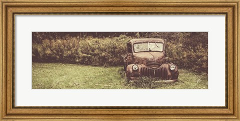 Framed Rusty Clearing Print