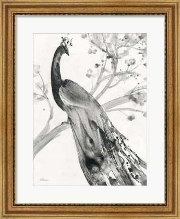 Framed Majestic Peacock Print
