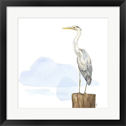 Framed Birds of the Coast on White II Print