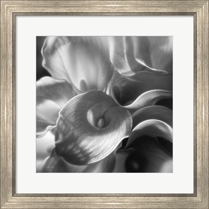 Framed Calla Lillie Bouquet Print