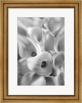 Framed Calla Lilies Print