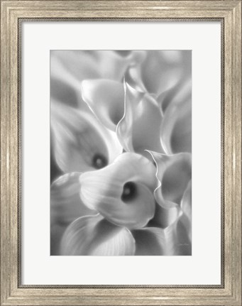 Framed Calla Lilies Print