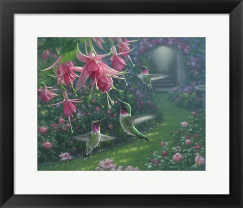 Framed Hummingbird Haven Print