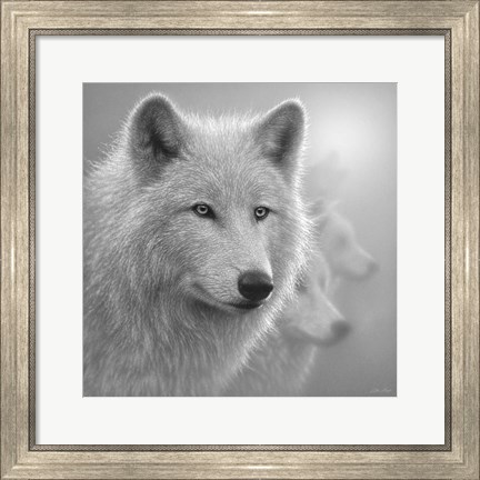 Framed Arctic Wolves - Whiteout - B&amp;W Print