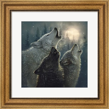 Framed Howling Wolves - In Harmony Print
