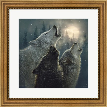 Framed Howling Wolves - In Harmony Print