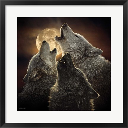 Framed Wolf Trinity Print