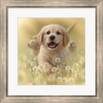 Framed Golden Retriever Puppy - Dandelions - Square Print