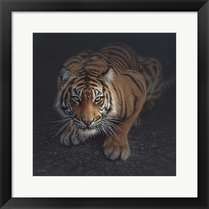 Framed Crouching Tiger Print