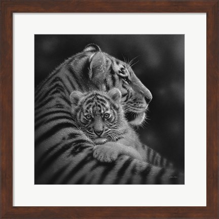 Framed Tiger Mother and Cub - Cherished - B&amp;W Print