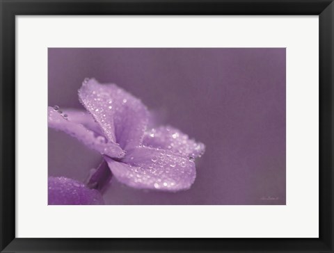Framed Purple Dew Print