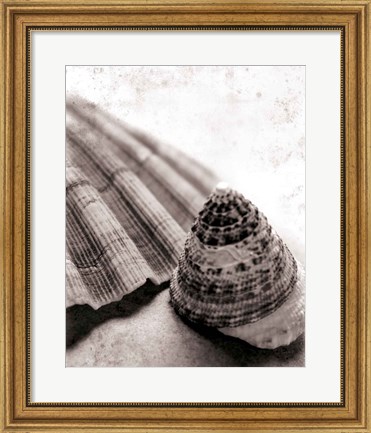 Framed Gifts From the Sea No Border Print