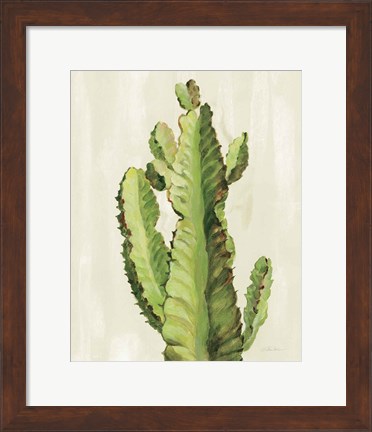 Framed Front Yard Cactus II Print