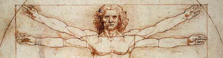 Vitruvian Man by Leonardo Da Vinci