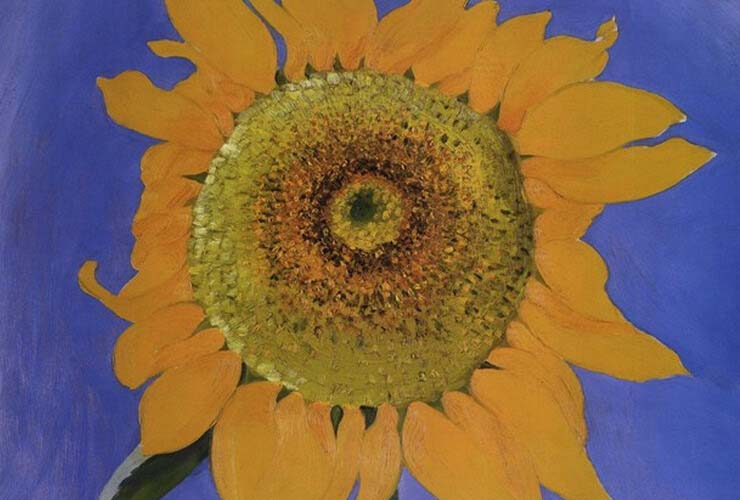 Georgia O'Keeffe Sunflower Art