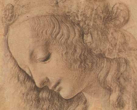 Da Vinci Drawings