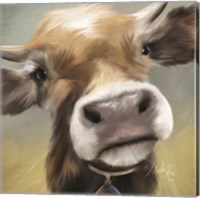 Up Close Moomoo Fine Art Print