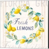 Floursack Lemon V Bright Fine Art Print