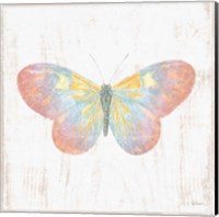 White Barn Butterflies I Fine Art Print