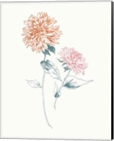 Flowers on White IV Contemporary Bright Fine Art Print