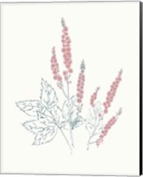 Flowers on White VII Contemporary Bright Fine Art Print