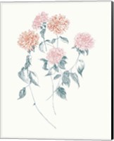 Flowers on White VI Contemporary Bright Fine Art Print
