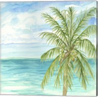 Refreshing Coastal Breeze II Fine Art Print