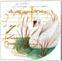 Seven Swans a-Swimming Fine Art Print