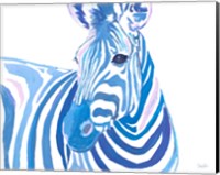 Vibrant Zebra Fine Art Print