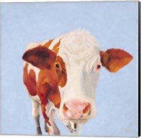 Cow Self Portrait Fine Art Print