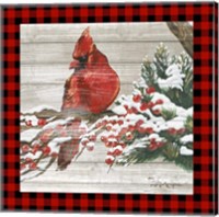 Winter Red Bird III Fine Art Print