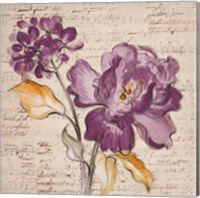 Lilac Beauty II Fine Art Print