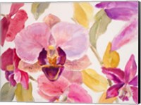 Radiant Orchid II Fine Art Print