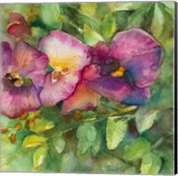 Orchid Garden Fine Art Print