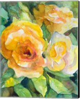 Yellow Roses Garden Fine Art Print