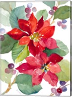 Berry Poinsettias Fine Art Print