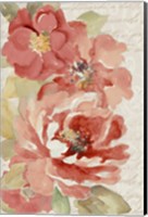 Blossoms On Script Fine Art Print