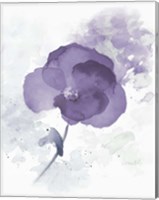 Translucent Mauve Poppy I Fine Art Print