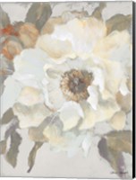 White Peony and Bloom Fine Art Print