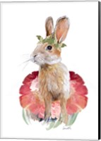 Ballet Bunny I Fine Art Print