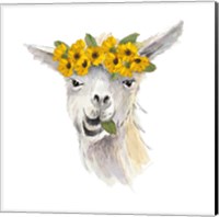 Floral Llama I Fine Art Print