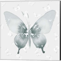 Grey Watercolor Butterflies II Fine Art Print