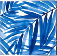 Blue Palm Design II Fine Art Print