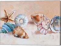 Shells on the Shore Rectangle Fine Art Print