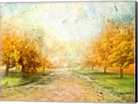 Oak Path Fine Art Print