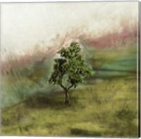 Lone Oak Fine Art Print