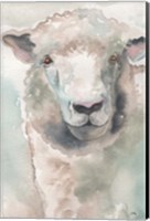 Muted Lamb Fine Art Print