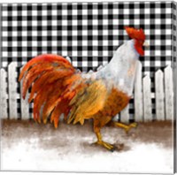 Morning Rooster I Fine Art Print