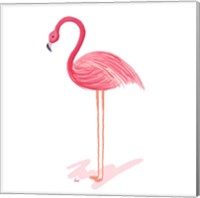 Flamingo Walk IV Fine Art Print