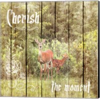 Cherish The Moment Fine Art Print